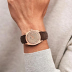 TOMI T098 Horizon Statement - Tomi Brand